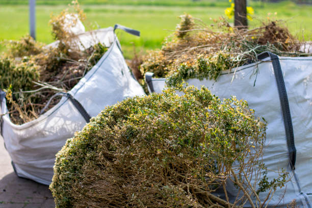 Professional Junk Removal Services in Aurora, SD